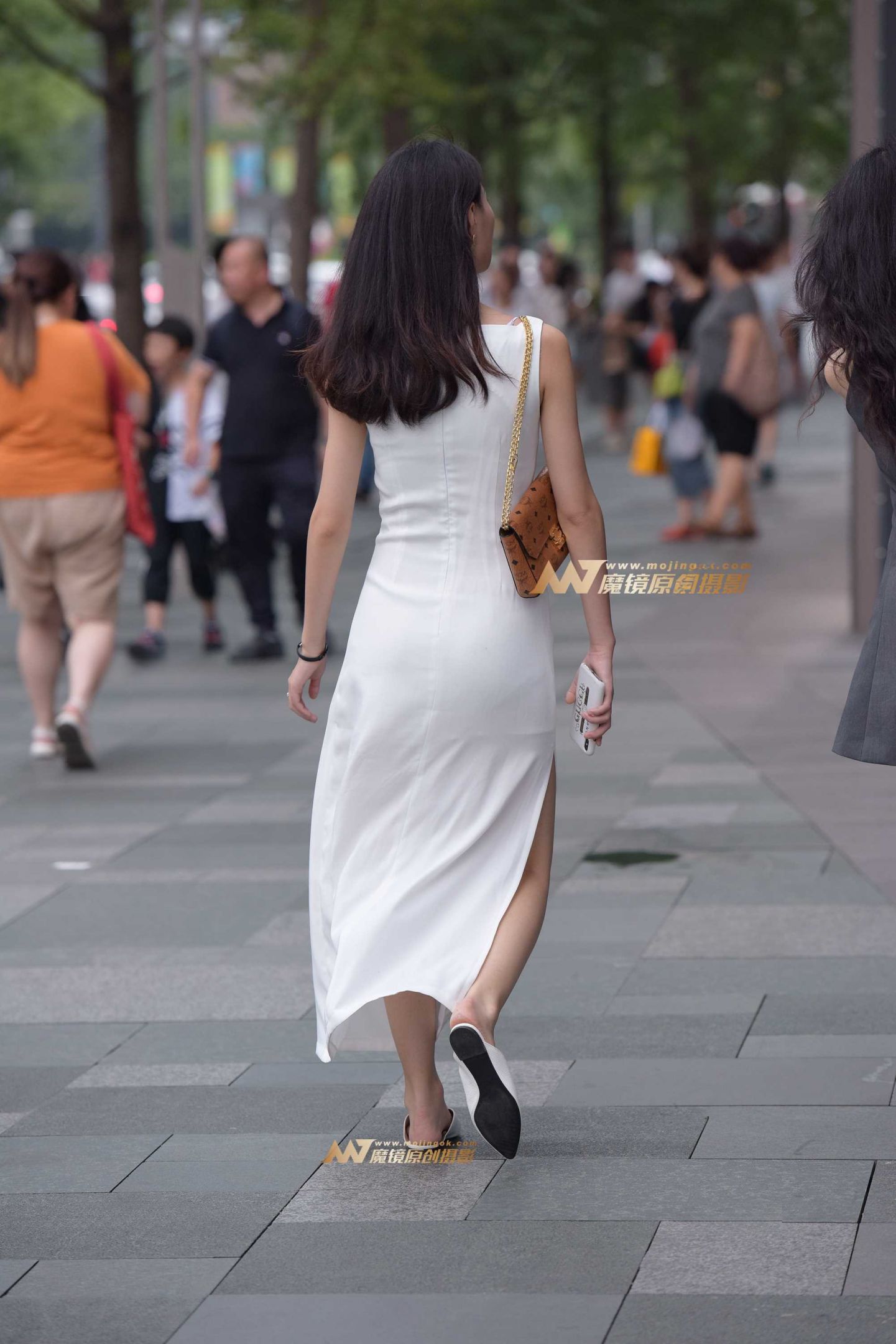 34469-qv2j2z35knw.jpg
