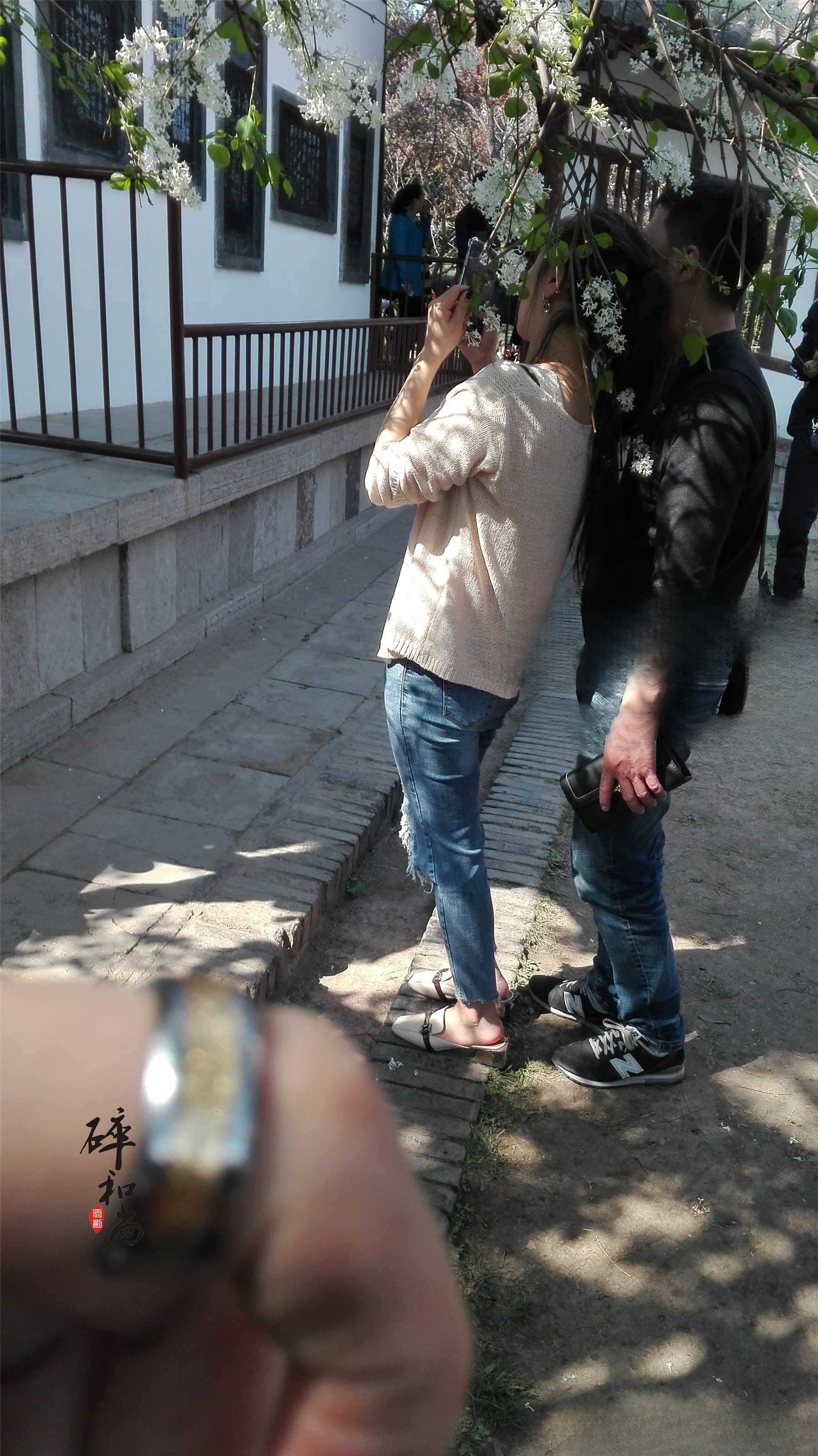 15258-vzhaje0hcs0.jpg