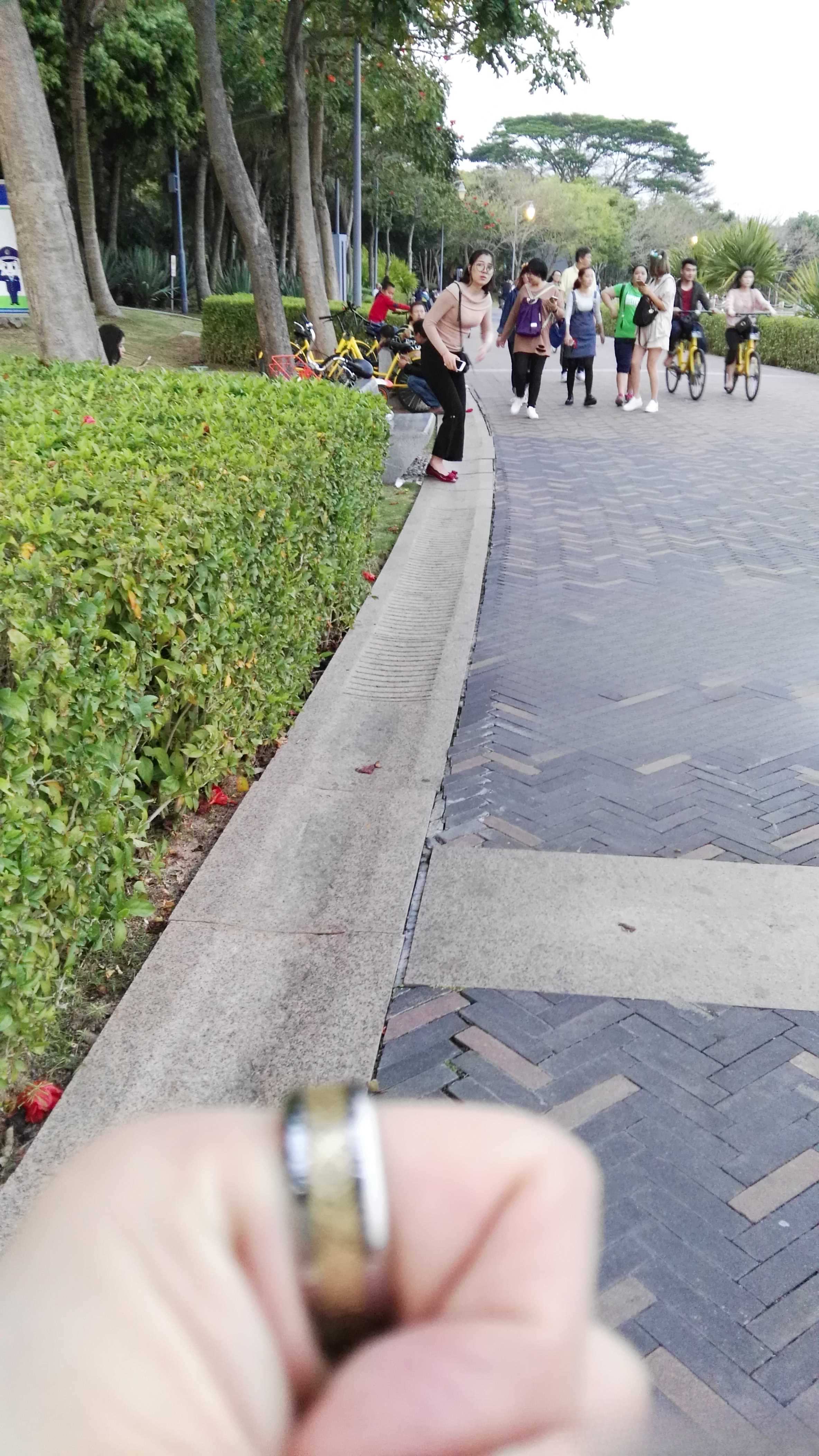 15422-vn4lif2kmni.jpg