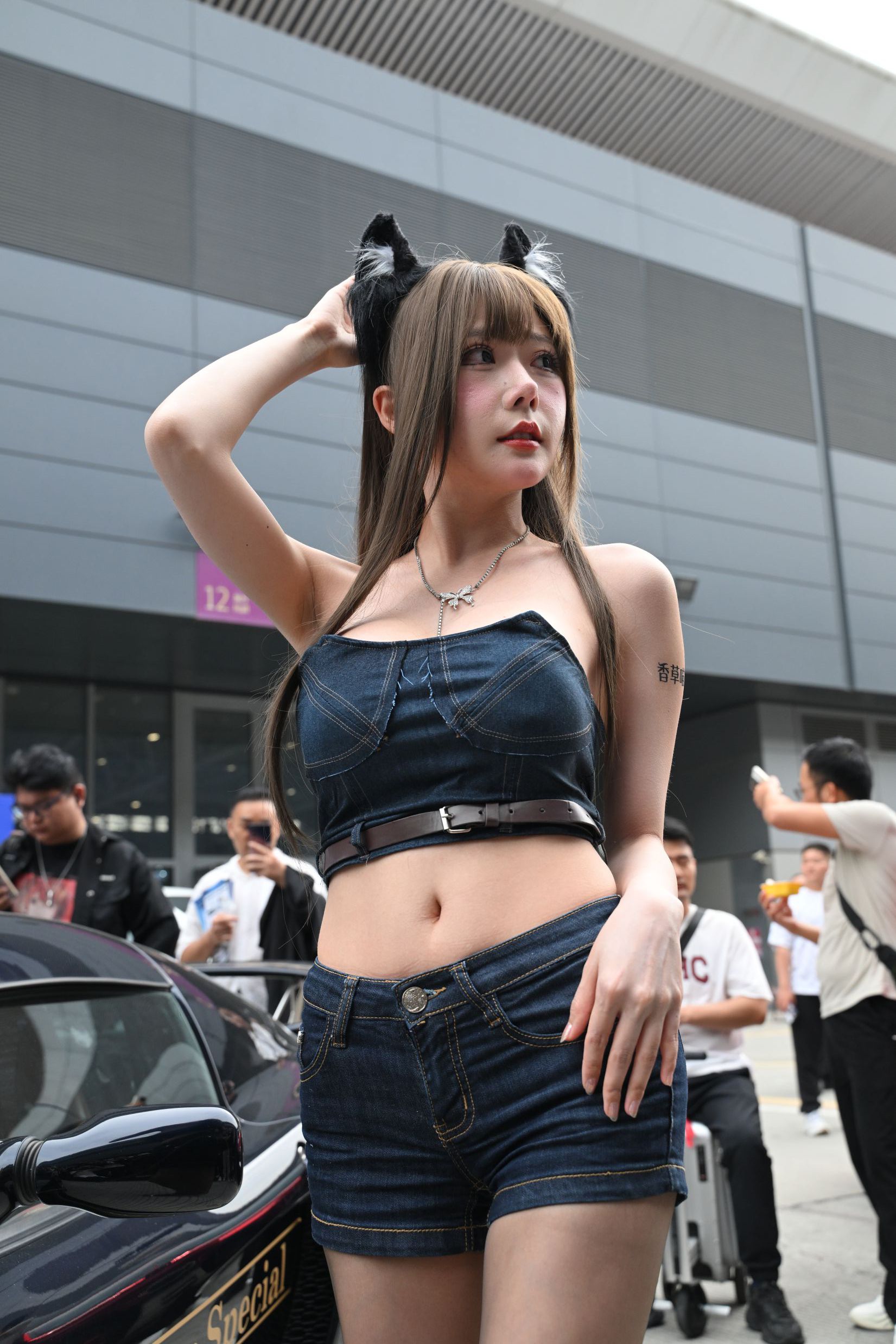 38217-raurysist5f.jpg