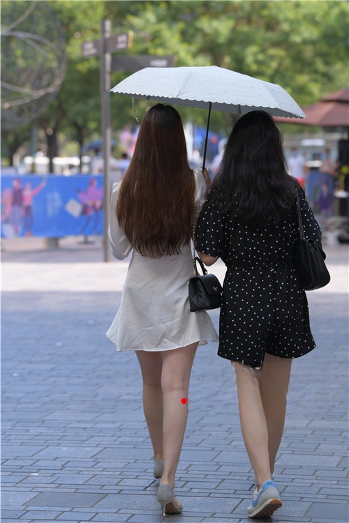 7993l1c5wkbp341.jpg