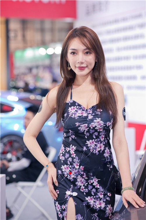 8235agsve2svcrk.jpg