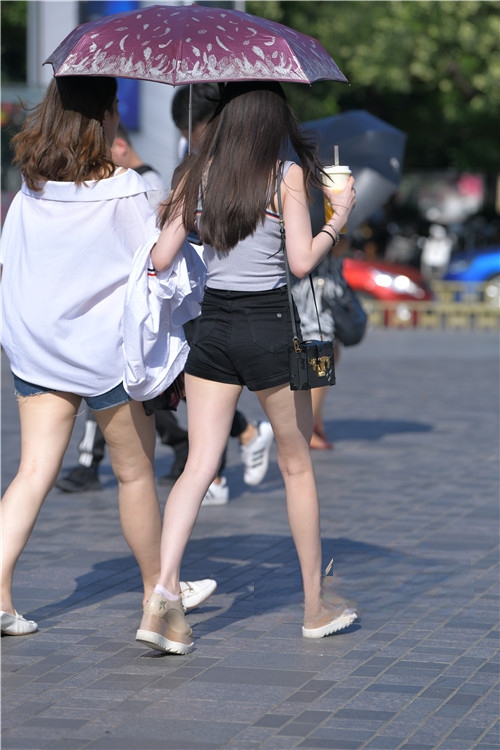 8748fp52tk0yldp.jpg