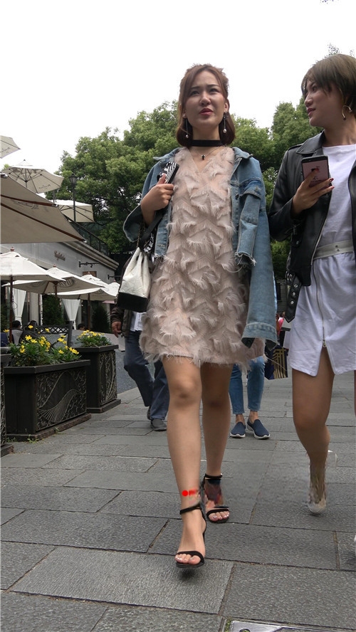 10941obylygmy1gn.jpg