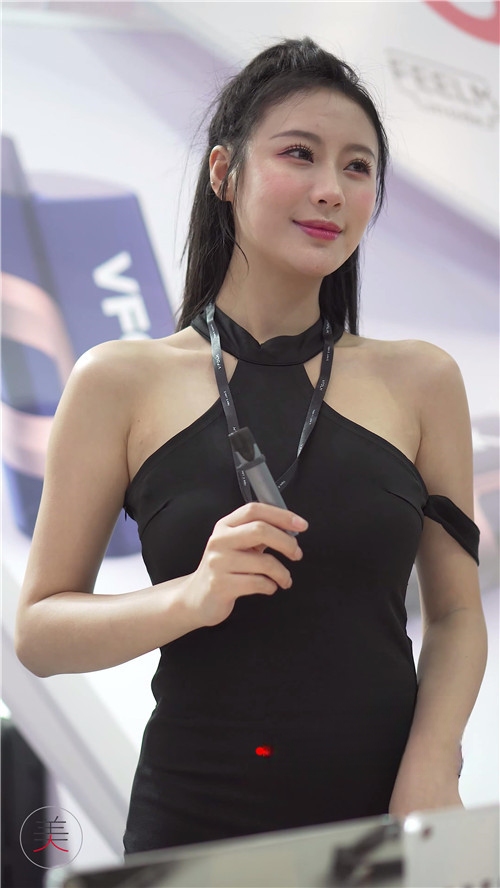23880amrse2vicgr.jpg