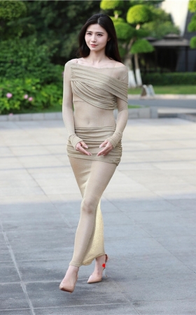 性感的薄纱长裙美女(143P)