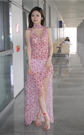 长裙丽人(258P)