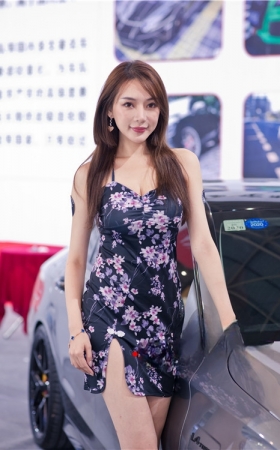 花裙车模美女(48P)