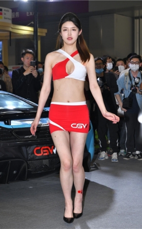 性感的包臀裙车模美女(61P)