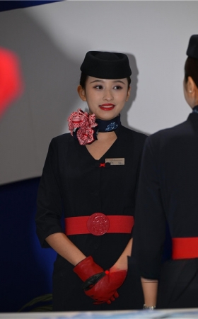 乘务制服美女(84P)