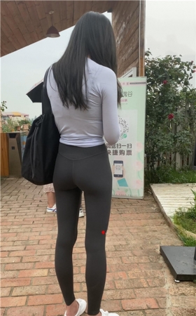 （视频）风寄
