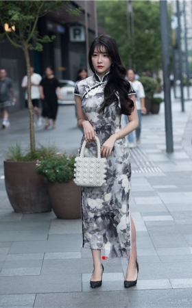 温尔儒雅的旗袍美女(100P)