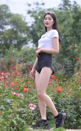 （套图一）引碟  (482P)