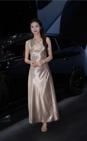 丝滑的长裙美女车模(36P)
