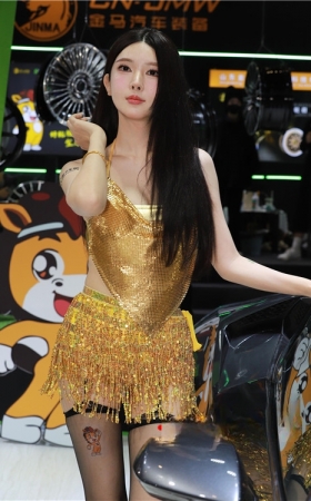 黄金战袍(76P)