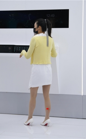 白裙肉丝美女(63P)