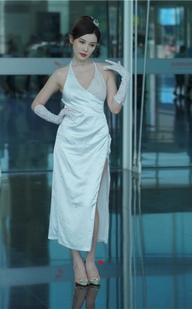 长裙美女(223P)