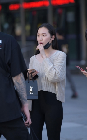一只白狐
