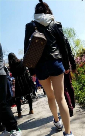 西装外套抹胸裙 [83P-2.19GB]