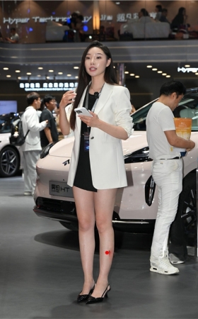 车模主播(67P)