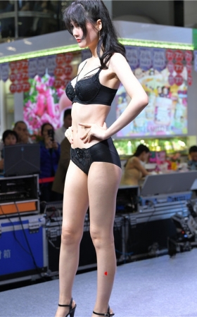 内衣模特美女(84P)
