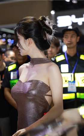 漂亮的网红车模美女(115P)