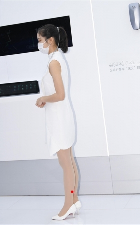 白裙礼仪美女(60P)