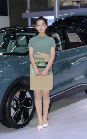 汽车美女销售(73P)