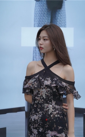 长裙美女(56P)