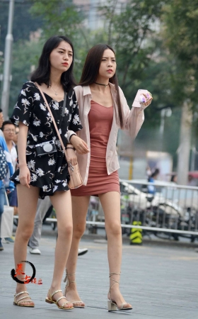 11-10 长腿姐妹 [15P]
