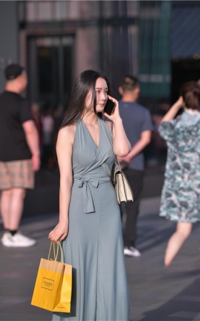 气质长裙小姐姐(84P)